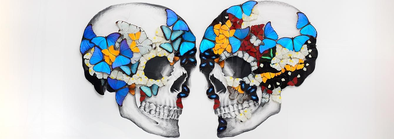 Butterfly Art