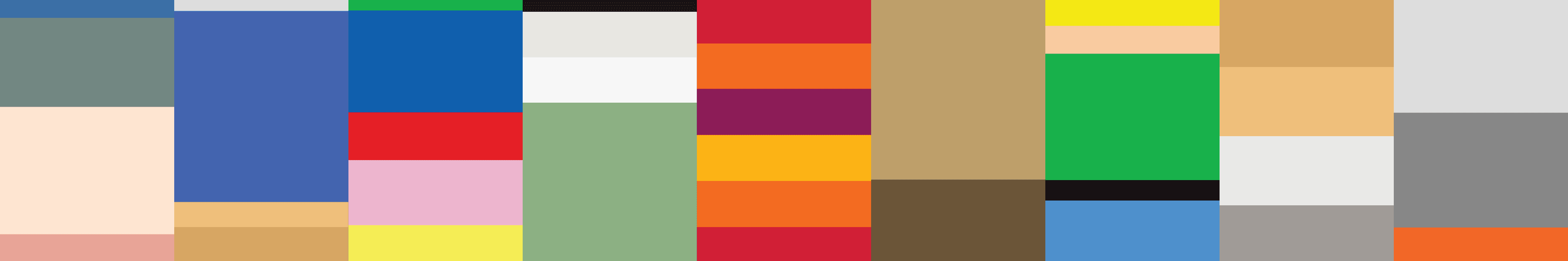 flowers illustration