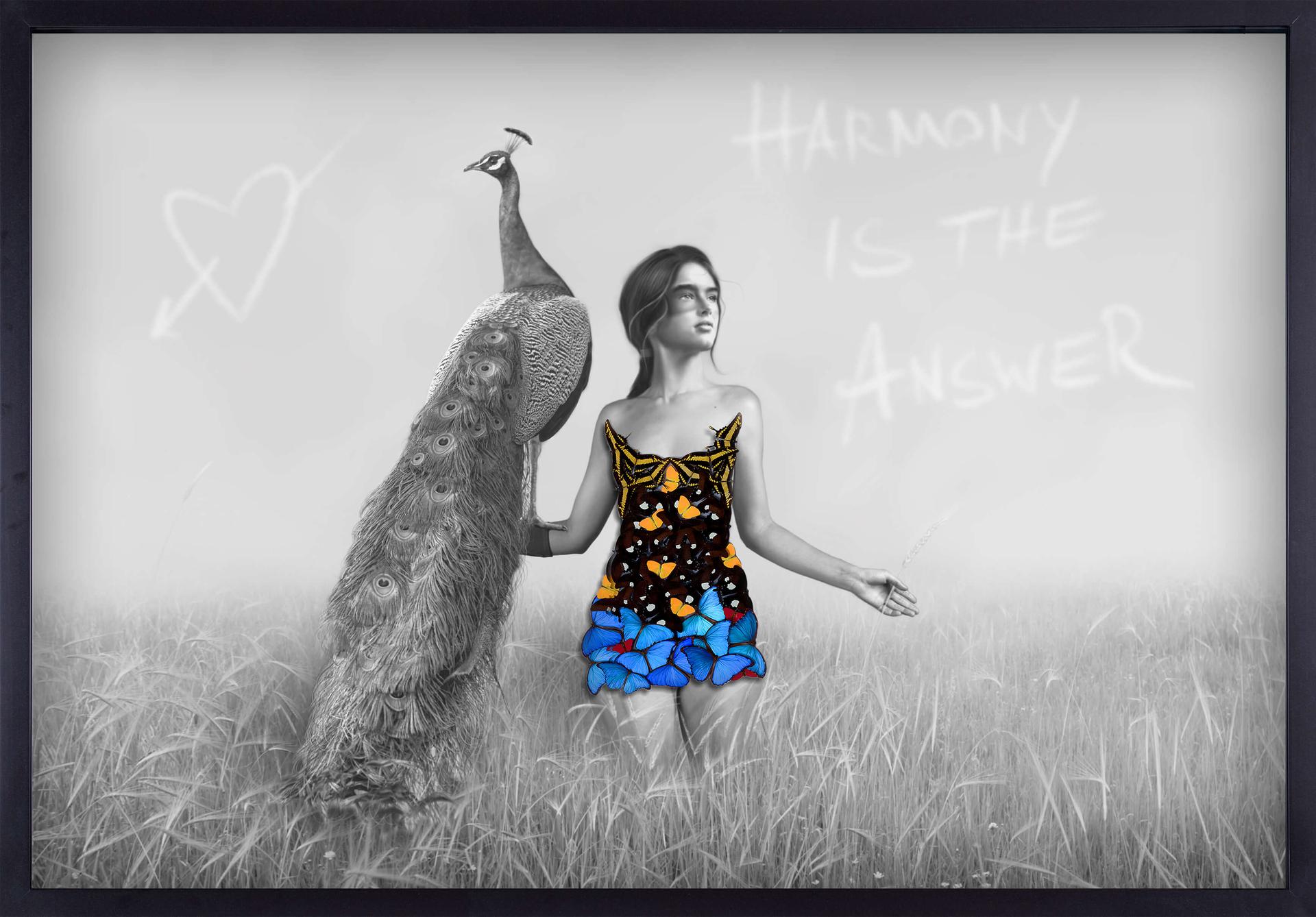 Background