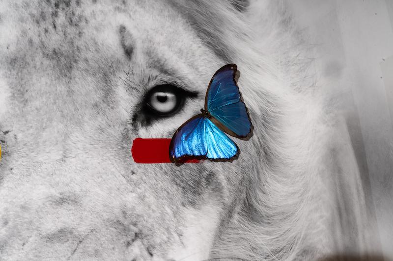 artwork