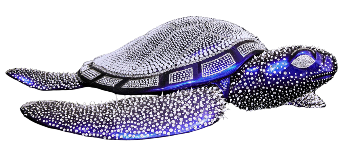 Turtle Blue