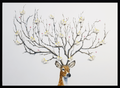 Wish Tree