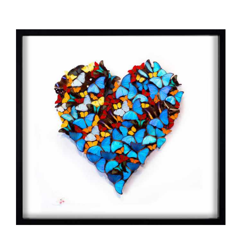 Heart of Butterflies White