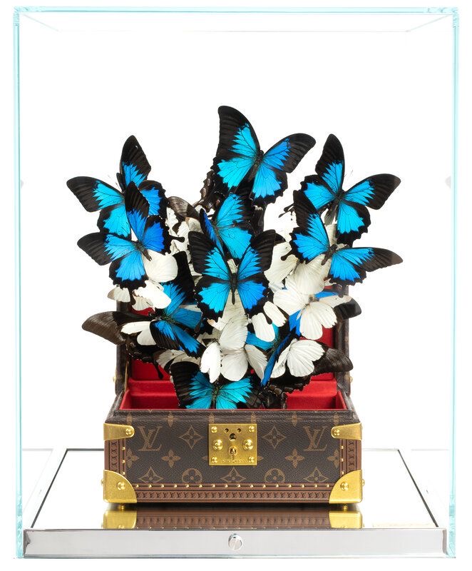 Louis Vuitton Blue and White